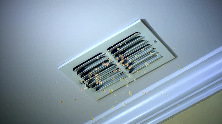 Best HVAC Duct Inspection Services  in La Grulla, TX