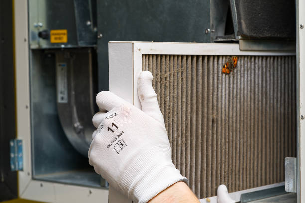 Best Affordable Air Duct Cleaning  in La Grulla, TX
