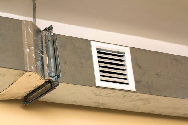 Best Dryer Vent Cleaning Services  in La Grulla, TX